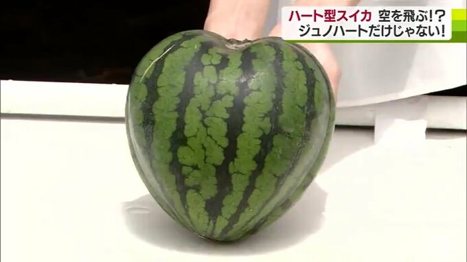 空を飛ぶ！？ハート型スイカ　甘さも増す？　青森県南部町|TBS NEWS DIG