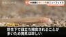 黒い模様がない！魚津水族館で初展示のアルビノ「ニシシマドジョウ」体長4cmの超激レア個体、珍色カエル6匹とともに話題に　富山・魚津市　　|　富山のニュース｜天気・防災｜チューリップテレビ