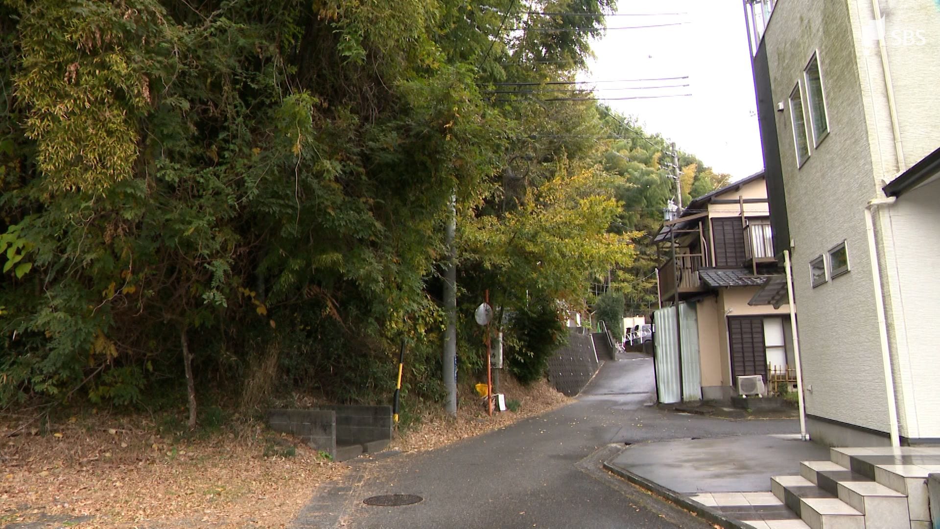 【くまいずみ】〜１０月分お取り置き〜 もしもクマと遭遇したら？ 住宅街近くでクマ目撃 2024年の過去最多を