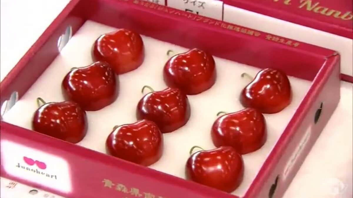 ☆新品超美品☆ あじのさと下拵えパーフェクトセット　レッド 糖度8度以上！じゅわっと濃厚 フルーツトマト|ISETAN DOOR
