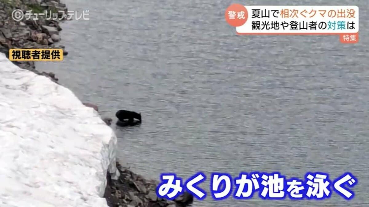 人から逃げ隠れしないクマが増えてきた」2か月で27件…夏山で相次ぐクマ