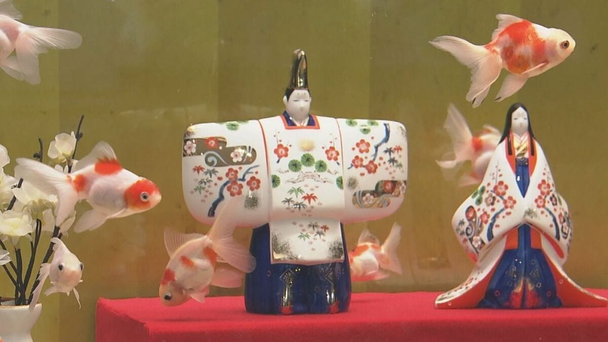 ひな人形の横を金魚が…人形のまわりに金魚を飾る江戸時代の風習にちなんで  岐阜・各務原市 アクア・トトぎふで3月8日まで
