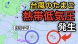 【台風情報】「台風5号（ハグピート）」に続き「台風のたまご＝熱帯低気圧」が新たに発生...今後の進路、日本への影響は？雨風シミュレーション画像で詳しくみる【気象庁　8日最新情報】|TBS NEWS DIG