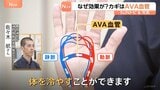 熱中症の予防に…手や腕を冷却!? 東京消防庁に聞いたヒミツは手のひらにある「AVA血管」 冷却された血管が全身を循環【SUNトピ】|TBS NEWS DIG