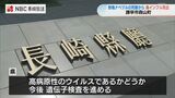野鳥ナベヅルの死骸から 鳥インフル確認【長崎県 】 | 長崎のニュース | 天気 | NBC長崎放送