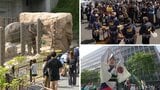 動植物園を無料で開放　名物「バナナのたたき売り」　どんたくパレード・・・みどりの日、福岡県内各地に賑わいと笑顔あふれる　|　福岡のニュース｜RKB NEWS｜RKB毎日放送