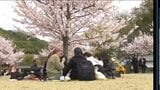 「見る」から「守る」花見へ 愛媛県松山市も参加のプロジェクトとは | 愛媛のニュース - Nスタえひめ|あいテレビは6チャンネル