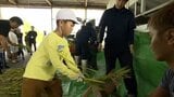 稲作の歴史を知ろう 串間市の小学生が昔ながらの方法で稲刈りを体験 | MRTニュース | MRT宮崎放送