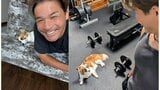【 いぬ 】照英の愛犬「パピコ」が「監督」に 「ベンチプレス120kgあげる事が、今の目標だ!」|TBS NEWS DIG