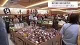 県内最大級のJA直売所「ひなたマルシェ」 宮崎西IC近くにグランドオープン 初日は一時入場規制も | MRTニュース | MRT宮崎放送