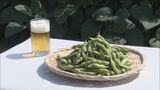 「ことしの出来も最高です」 ビールのおつまみに欠かせない「エダマメ」の収穫が最盛期 愛知 | 名古屋・愛知・岐阜・三重のニュース【CBC news】 | CBC web