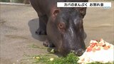 埼玉県の動物園にお引越し カバの「まんぷく」お別れ会 愛媛|TBS NEWS DIG