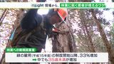 「普通に生活している中では得られない達成感がある」週休2日、収入安定…林業に就く若者が増えるワケ【現場から、】 | 静岡のニュース | SBSNEWS | 静岡放送