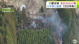 あわや山火事に… 「木が燃えている」山あいの小屋と周辺のスギ約100本が焼ける火事 青森県六戸町 | 青森のニュース│ATV NEWS│青森テレビ
