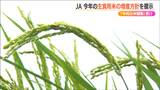 『令和の米騒動』を受けJAがコメ増産方針を生産者に説明 減反政策終了以降最大の56万トン超 新潟県|TBS NEWS DIG