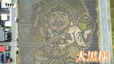 里芋畑に巨大な "大黒様" が出現?! 地上絵を通し山形の文化を世界中に発信! 今年ならではの特別な思いとは(山形市) | 山形のニュース│TUYテレビユー山形