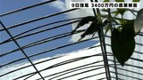 ９日高知県中部で吹いた強風による農業被害　ビニールハウス破損などおよそ３４００万円|TBS NEWS DIG