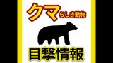 小学生が熊らしき動物を目撃した情報が２件相次ぐ　いずれも痕跡は確認されず　広島県呉市　|　RCC NEWS | 広島ニュース | RCC中国放送