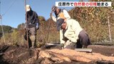 特産の自然薯の収穫始まる　粘りや甘みの強さで人気　広島･庄原　|　RCC NEWS | 広島ニュース | RCC中国放送