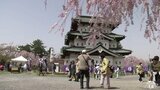 見頃は「遅咲きの桜」弘前さくらまつり開幕　感染対策も緩和「コロナ前に戻ってきたのを実感」|TBS NEWS DIG