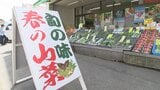「ある程度の価格が下がってきている」春キャベツや新タマネギなど　春の新モノ野菜が家計の味方に|TBS NEWS DIG