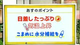 高知の天気 4日 青空広がる 気温も上昇し高知市では真夏日か 山岸拓気象予報士が解説 | 高知のニュース・天気|KUTV NEWS | KUTVテレビ高知