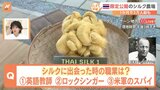シルク生産の体験や現地の伝統料理も!タイの高級シルクブランド「ジムトンプソン」農場が期間限定で公開【すたすた中継】|TBS NEWS DIG