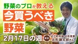 【今買うべき野菜は？】2/17の週 大根＆果菜類は今が買い！ほうれん草・春菊もお得！白菜は平年比の2.7倍の高値に|TBS NEWS DIG