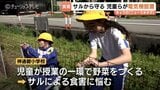 富山市・神通碧小学校でサルの食害対策　児童が自ら電気柵を設置、ねいの里の指導で「守る農業」を学ぶ　ソーラーパネル活用で持続可能な農園づくりへ|TBS NEWS DIG