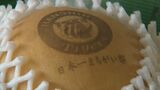 次は…目指せ38年ぶり　阪神タイガース「日本一まちがい梨」出荷　|　BSSニュース | BSS山陰放送