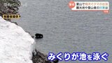 「人から逃げ隠れしないクマが増えてきた」2か月で27件…夏山で相次ぐクマの目撃情報 自治体はハンター配置など対策追われる 富山 | 富山のニュース|天気・防災|チューリップテレビ