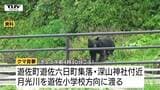 今朝もクマの目撃相次ぐ 小学校の方へ向かったクマも…保護者送迎で対応(山形)|TBS NEWS DIG