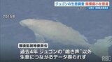 「ジュゴン調査規模縮小を」辺野古の環境監視委員会が提言 | 沖縄のニュース|RBC 琉球放送