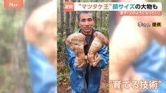 【中国の“マツタケ王”に密着】4時間で約11万円の成果 顔の大きさほどの特大サイズも… 父から息子へ受け継ぐマツタケハンターの技| TBS CROSS DIG with Bloomberg