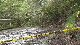 記録的大雨　72時間雨量、久米島で400ミリ超、国頭で350ミリ超　林道で土砂崩れも|TBS NEWS DIG