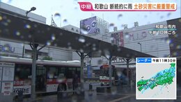 和歌山・断続的に雨　土砂災害に厳重警戒　フェリー欠航など交通にも影響　午後にかけて雷伴う非常に激しい雨降るおそれ【現地報告】|TBS NEWS DIG