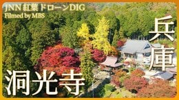 丹波篠山の古刹と紅葉【JNN 紅葉ドローンDIG】|TBS NEWS DIG