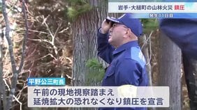 発生から11日目で鎮圧　岩手・大槌町の山林火災　焼損面積あわせて1633ヘクタール・住宅含む8棟が全焼|TBS NEWS DIG