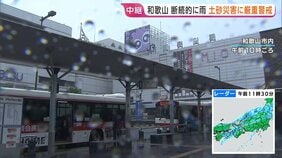 和歌山・断続的に雨　土砂災害に厳重警戒　フェリー欠航など交通にも影響　午後にかけて雷伴う非常に激しい雨降るおそれ【現地報告】|TBS NEWS DIG