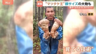 【中国の“マツタケ王”に密着】4時間で約11万円の成果 顔の大きさほどの特大サイズも… 父から息子へ受け継ぐマツタケハンターの技| TBS CROSS DIG with Bloomberg