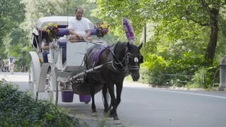 アメリカ・NYセントラルパークから「観光馬車」が消える？150年続く名物で初の死者 「廃止」めぐり賛否　今月（9月）にも法案審議へ| TBS CROSS DIG with Bloomberg