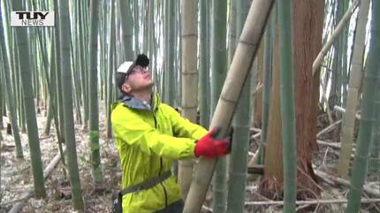 けっこう昔のリトルグリーンメン 動作確認済み けっこう昔のリトルグリーンメン 動作確認済み リトル・グリーン・メン