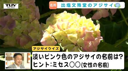 ミセス〇〇〇」名前に込められた意味は？ジメジメ気分をぱっと涼やかに