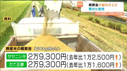 コメ概算金「ひとめぼれ」2万8000円に大幅引き上げ 農家驚きと