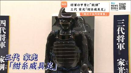 将軍の鎧に「鉄砲弾」の痕なぜ！？ 三代・家光の甲冑【徳川十五代将軍