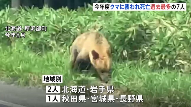 全国で相次ぐクマ被害 今年度の犠牲者7人に 過去最多　冬眠に備え活発になるクマに注意|TBS NEWS DIG