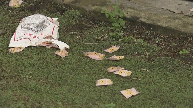 「頭部から出血」福島県会津坂下町の住宅敷地内で80代男性クマに襲われけが|TBS NEWS DIG