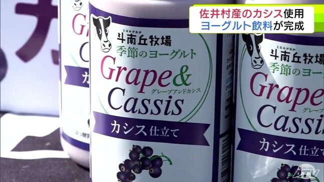 青森県佐井村産のカシスを使った「季節限定のヨーグルト飲料」今シーズンも完成！　「たくさんの皆さんに味わっていただきたい」と村長|TBS NEWS DIG