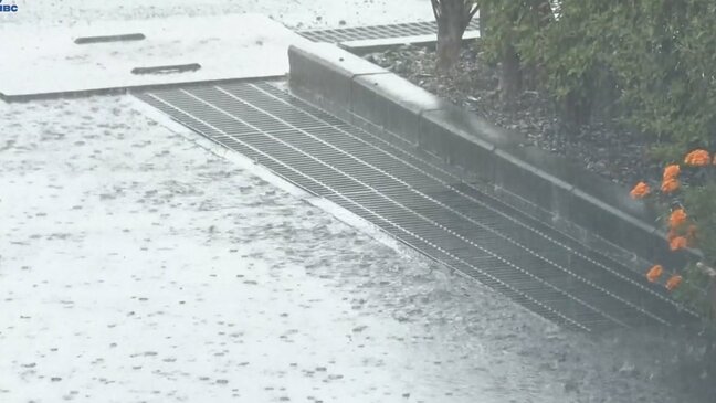暖かく湿った空気の影響で岩手県内は引き続き大雨と土砂災害に厳重に警戒|TBS NEWS DIG