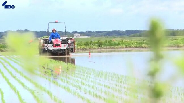 岩手県内の田植え進捗率は67%で概ね適期 県は田植え後の深水管理と気象状況に合わせた栽培管理に注意呼びかける|TBS NEWS DIG